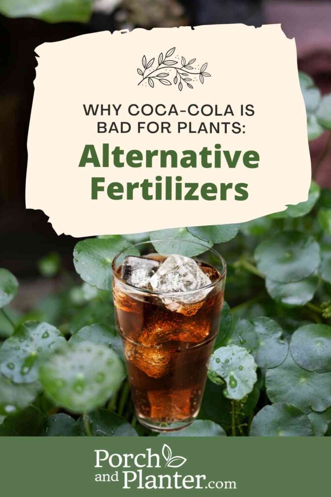 a photo of some plants and a glass of coca-cola with the text "Why Coca-Cola is Bad for Plants: Alternative Fertilizers"