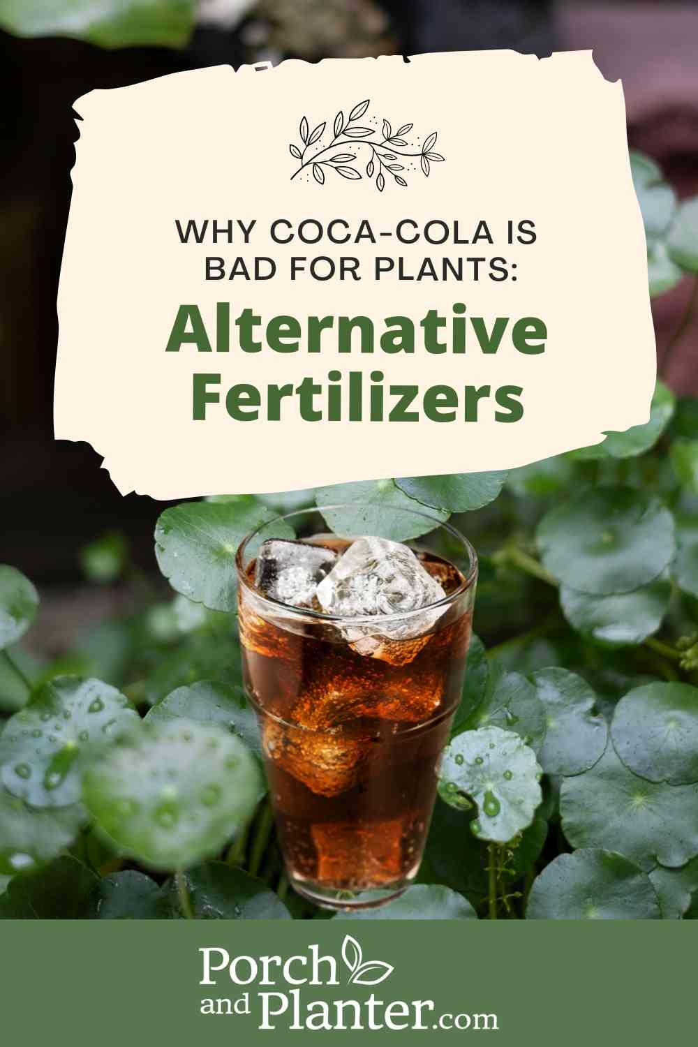Why Is Coca Cola Bad For Plants Alternative Fertilizers Porch And why-is-coca-cola-bad-for-plants-alternative-fertilizers-porch-and