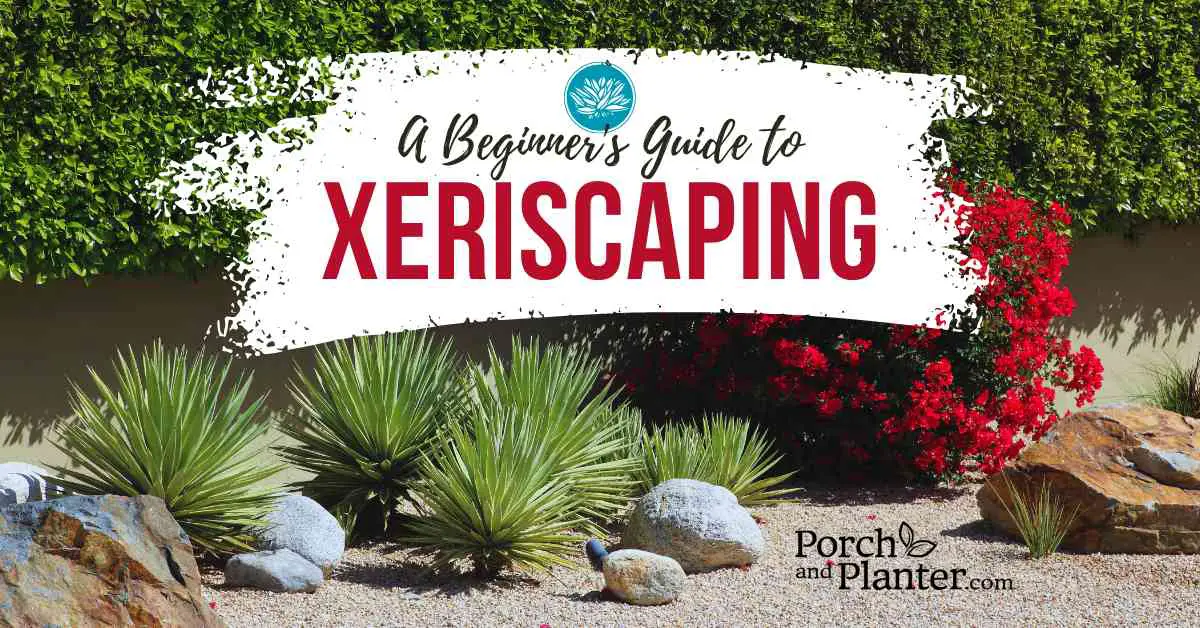 A photo of a xeriscaped yard with drought resistant plants and rock features with the text "A Beginner's Guide to Xeriscaping"