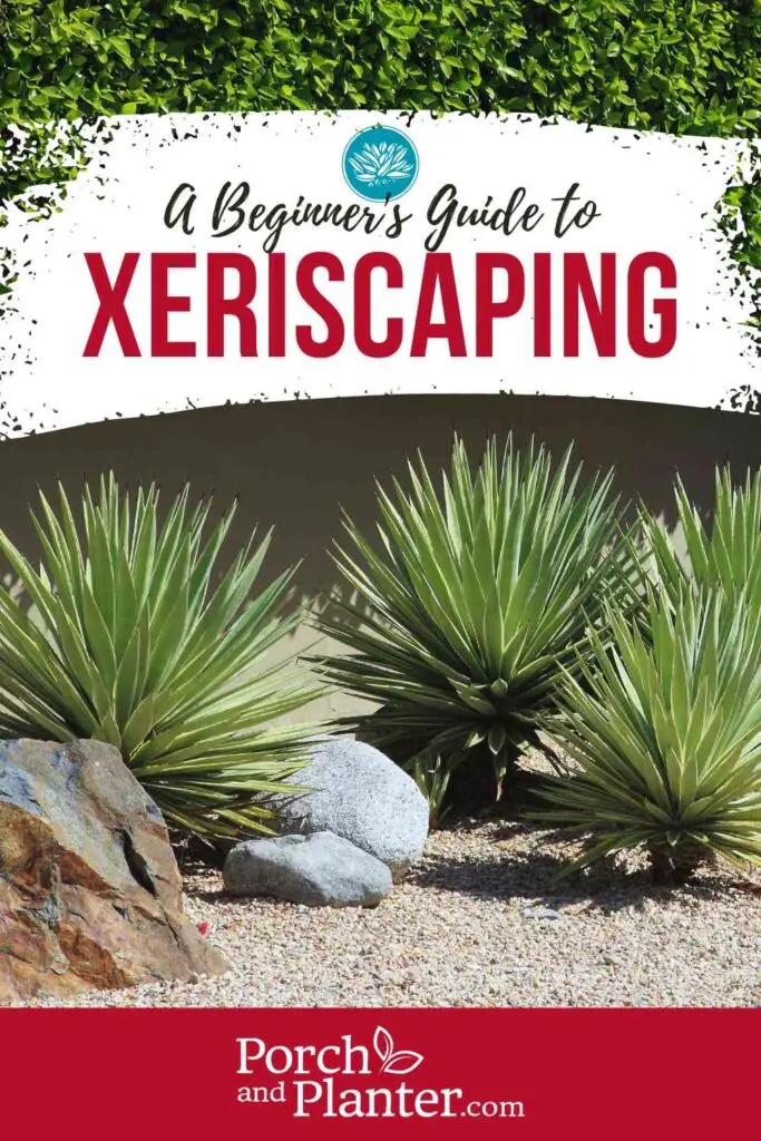 A photo of a xeriscaped yard with drought resistant plants and rock features with the text "A Beginner's Guide to Xeriscaping"