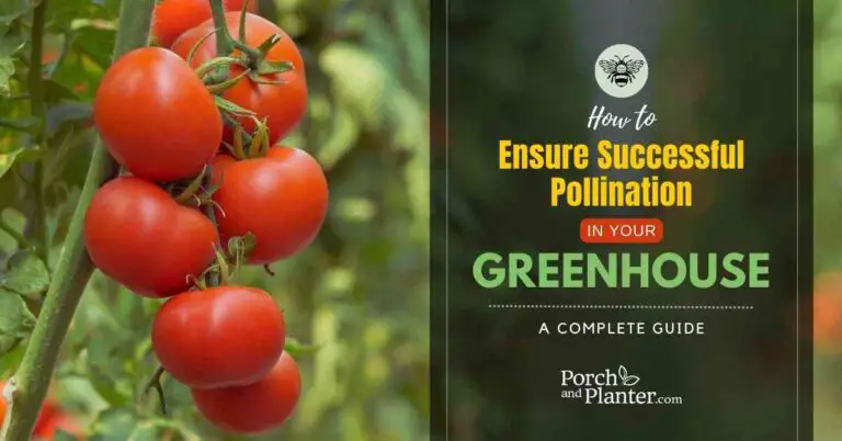 How to Ensure Successful Pollination in Your Greenhouse: A Complete Guide