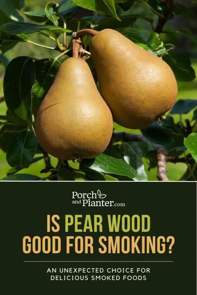 A photo of pears on a the branch of a pear tree with the text "Is Pear Wood Good for Smoking?  An Unexpected Choice for Delicious Smoked Meats"