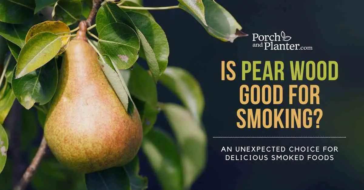 A photo of pears on a the branch of a pear tree with the text "Is Pear Wood Good for Smoking? An Unexpected Choice for Delicious Smoked Meats"