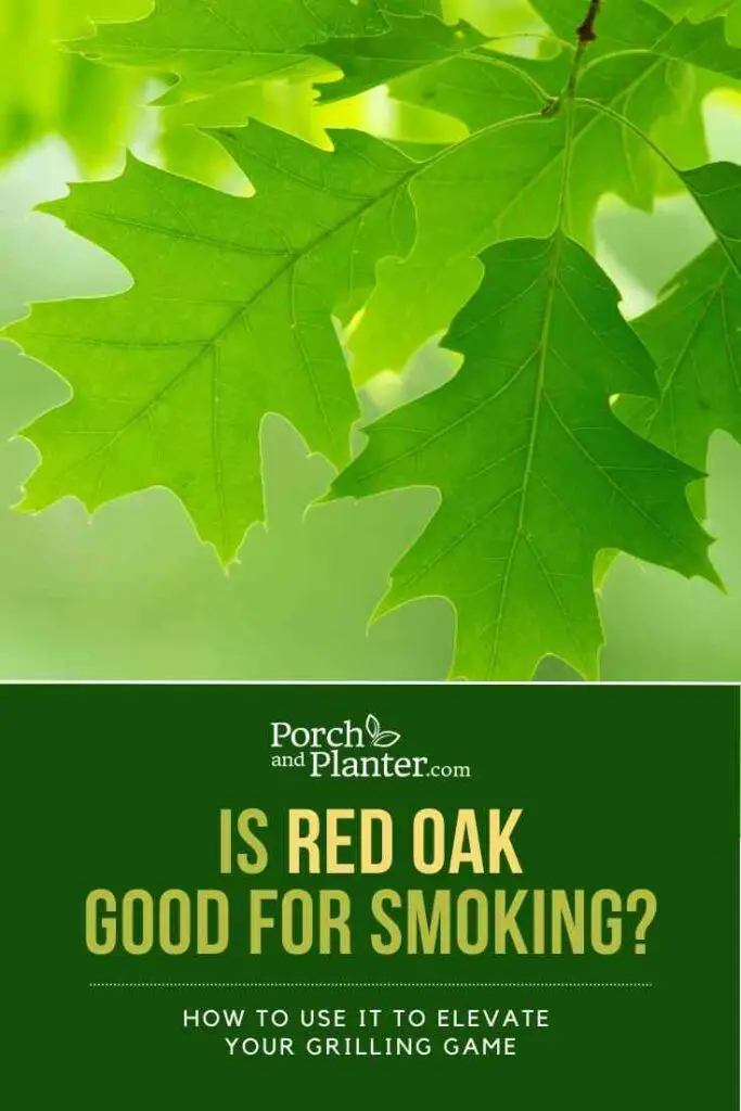An image of red oak leaves with the text "Is Red Oak Good for Smoking? How to Use It to Elevate Your Grilling Game"