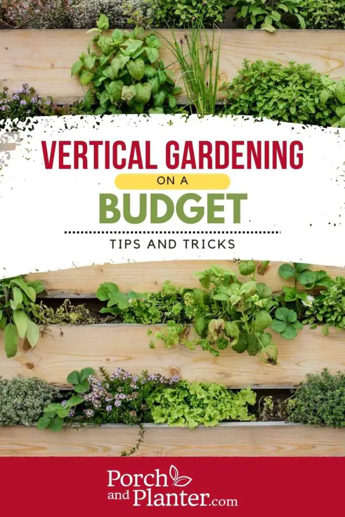 A photo of a pallet vertical garden wall with the text "Vertical Gardening on a Budget" Tips and Tricks"