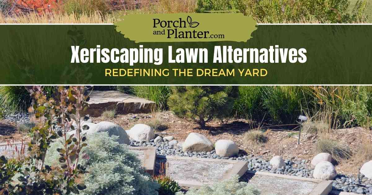 A photo of a xeriscaped yard with the text "Xeriscaping Lawn Alternatives: Redefining the Dream Yard"