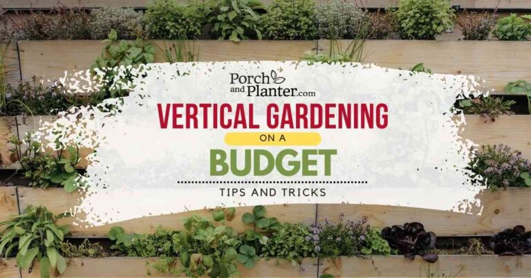 Vertical Gardening on a Budget: Tips and Tricks